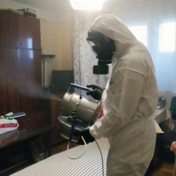 Дезинфекция от клопов в Буе