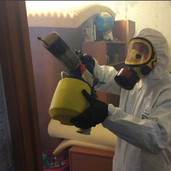 Уничтожение клопов в квартире. Буй